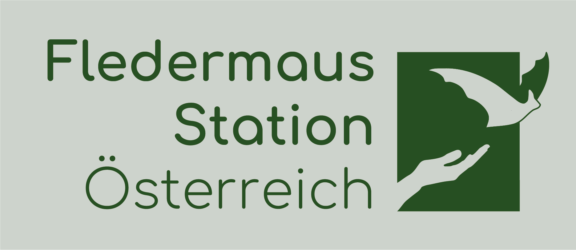 Logo Fledermaus Station Österreich