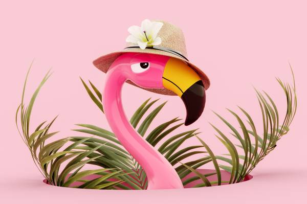 Kontaktepool Sommerfest – 03.07.25.