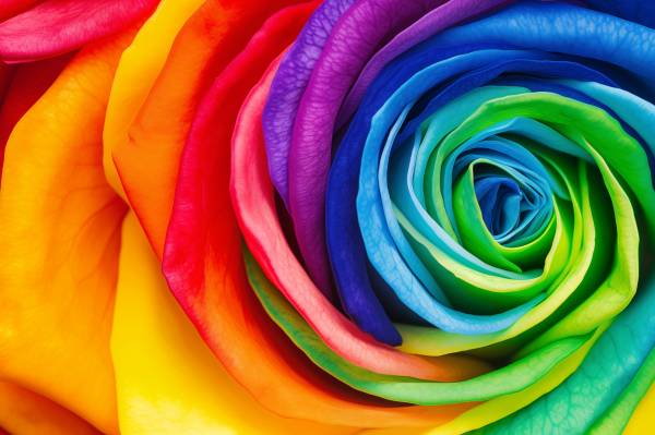 Angebote im Pride Month