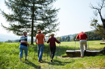 Mehrere Personen wandern an einem sonnigen Tag über eine Wiese